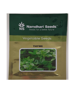 NS 11051 - Thyme Image