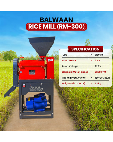 BALWAAN RICE MILL (RM-300) product  Image 2