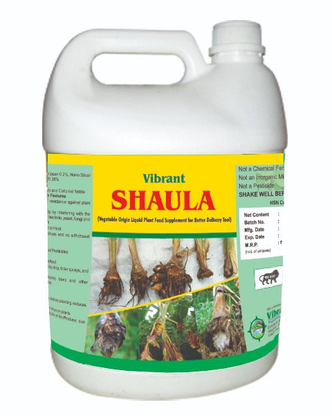 VIBRANT SHAULA product  Image
