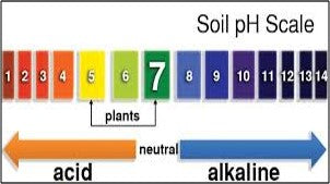 Soil pH- an important factor in crop production