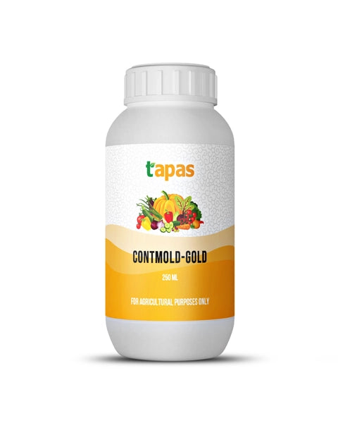 TAPAS CONTMOLD GOLD product  Image