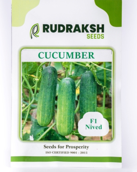 RUDRAKSH F1 NIVED CUCUMBER (GREEN, CYLINDRICAL) SEEDS product  Image 1