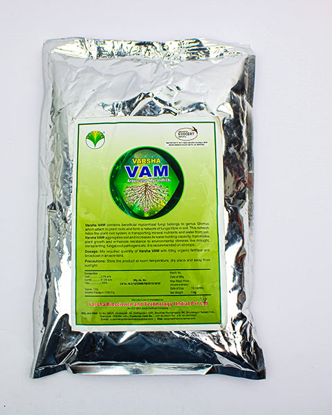 VARSHA VAM (MYCHRRIZA)) product  Image