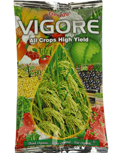 GEOLIFE VIGORE product  Image
