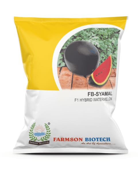 FARMSON SHYAMAL F1 HYBRID WATERMELON SEEDS product  Image 1