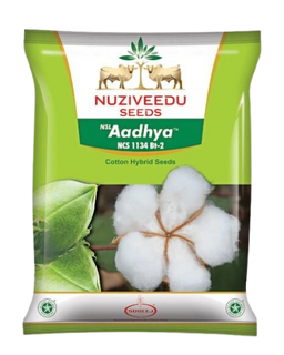 Aadhya NCS 1134 BT-2 Hybrid Cotton Seeds – High Yielding Hybrid Image