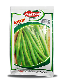 ANUP BEANS (BUSH BEANS) Image