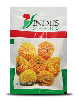 ಆರಾಧನಾ ಚೆಂಡು ಹೂವು Image