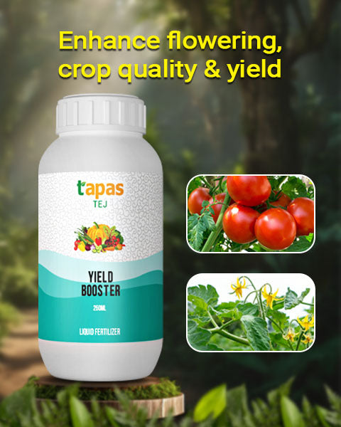 TAPAS TEJ YIELD BOOSTER product  Image