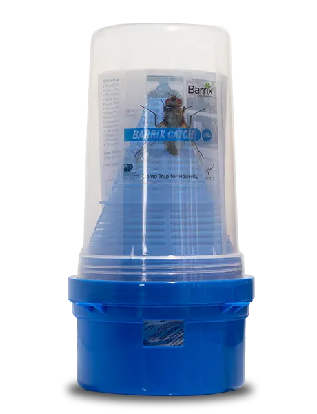 कैच हाउस फ्लाई डोमो ट्रेप सेट product Image 1