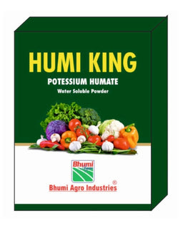 BHUMI HUMI KING Image