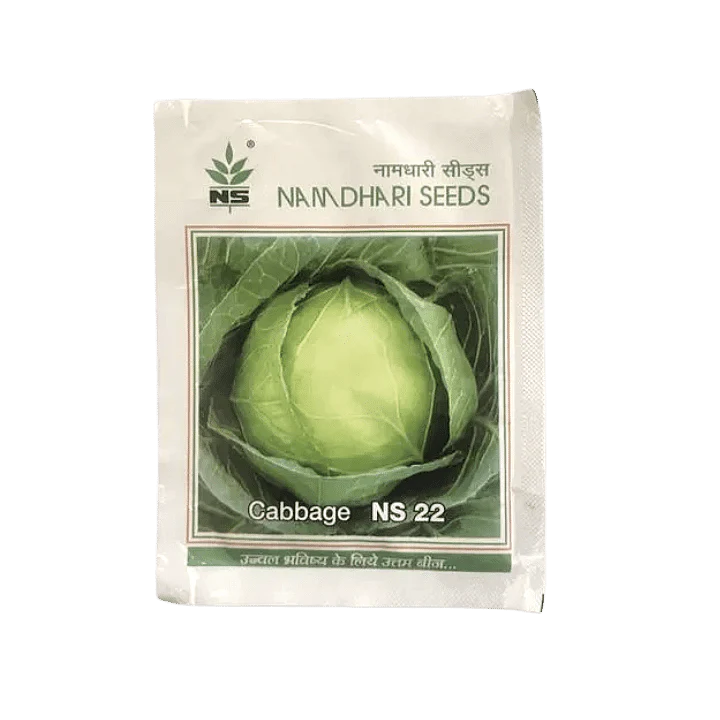 NS 22 Cabbage Seeds by Namdhari - Round Head, Strong growth, Late Season product  Image 1