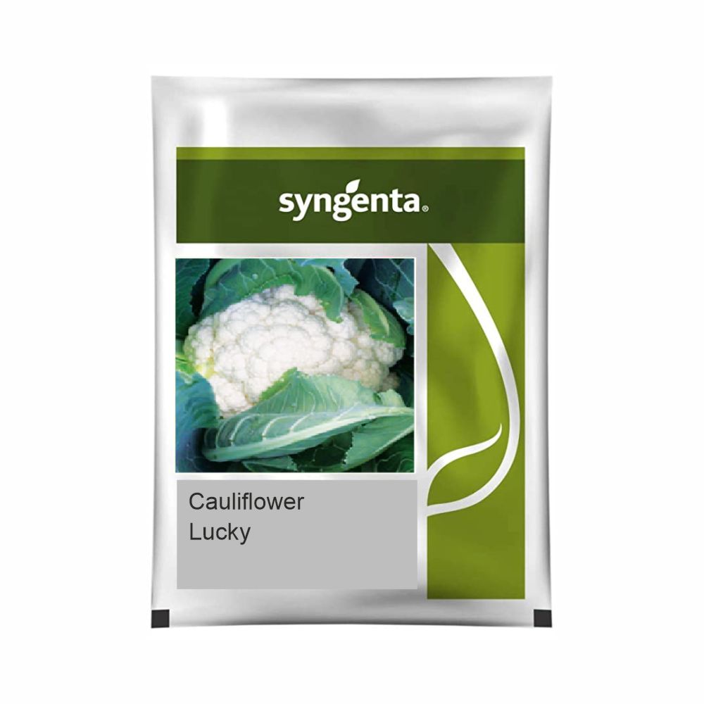 SYNGENTA LUCKY CAULIFLOWER product  Image