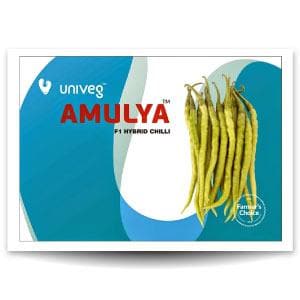 AMULYA CHILLI (अमूल्य मिर्च ) product  Image 1