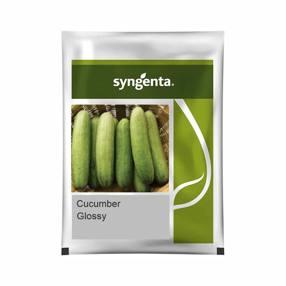 GLOSSY CUCUMBER product  Image