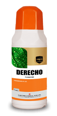 DERECHO FUNGICIDE product  Image 1