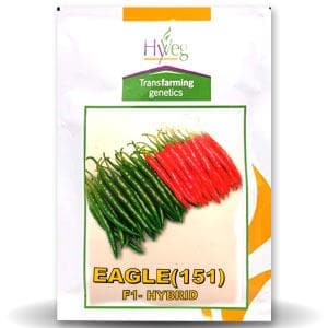 EAGLE CHILLI SEEDS F1 151 product  Image 1