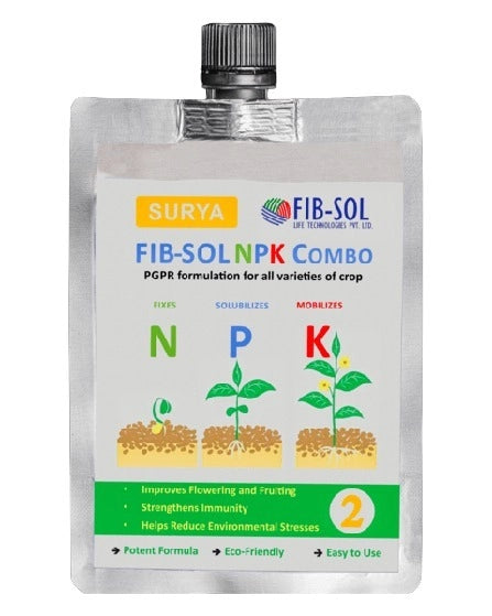 FIBSOL SURYA product  Image 1