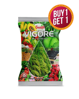 GEOLIFE VIGORE - Buy 1 Get 1 Free Image