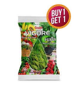 GEOLIFE VIGORE RAJA -Buy 1 Get 1 Free Image