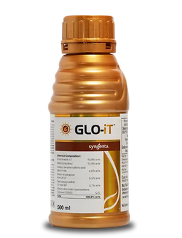 Glo-It Fungicide – Dual Action Control for Sheath Blight in Paddy Image