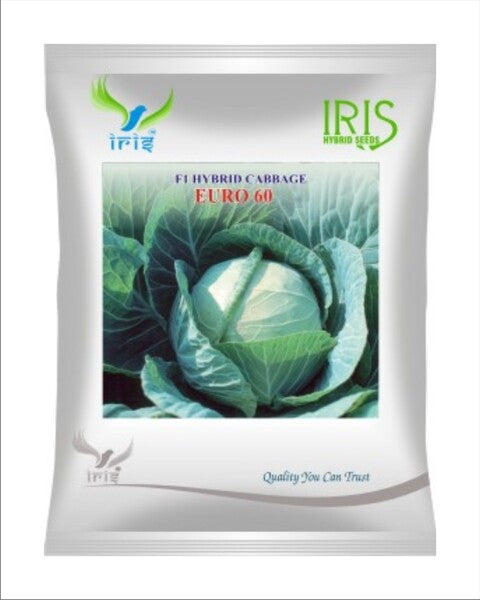 आइरिस संकर एफ1 गोभी - यूरो 60 product  Image 1
