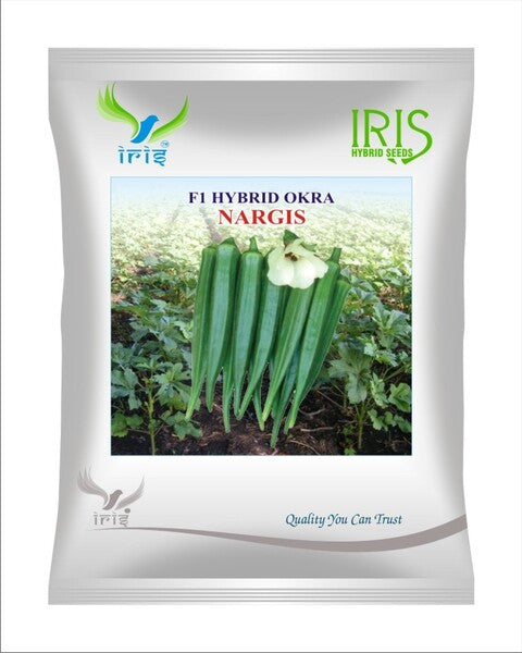 Iris Hybrid F1 OKRA NARGIS product  Image 1
