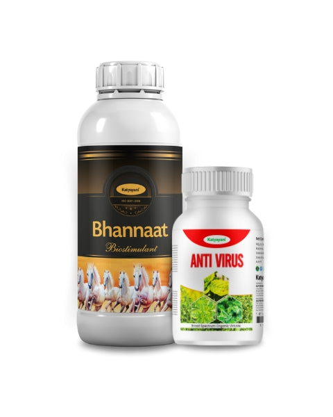 KATYAYANI CHILLI LEAF CURL MISSILE KIT product  Image 1