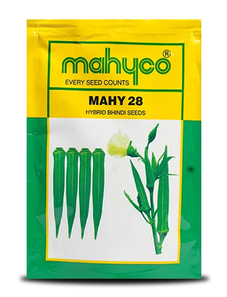 Mahy 28 Bhendi Seeds Image