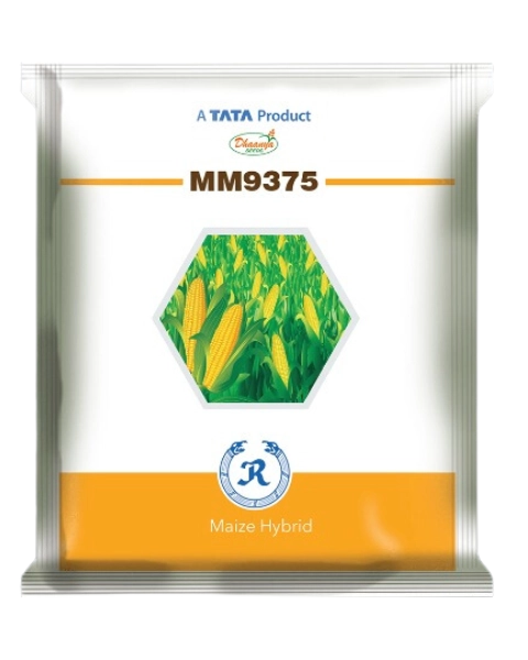 MM9375 product  Image 1