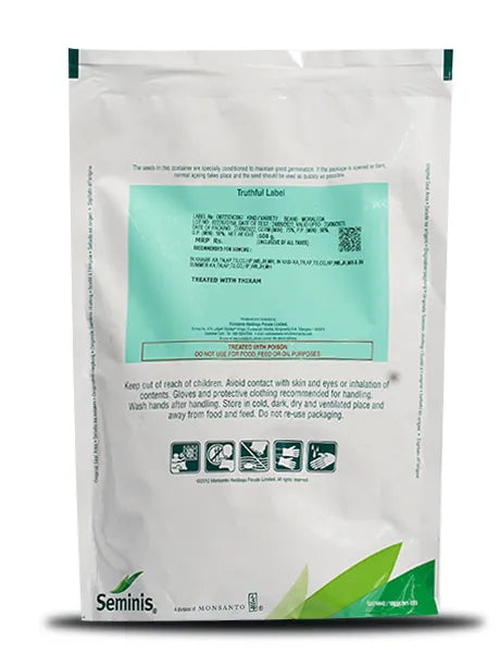 Moraleda Beans - Staking Bean with 15-20 cm Pods product  Image 2