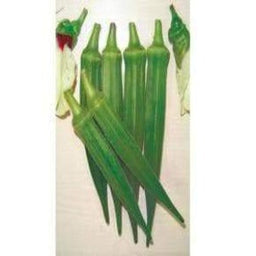 NS 858 BHENDI (OKRA) ( एनएस 858 भिंडी ) Image