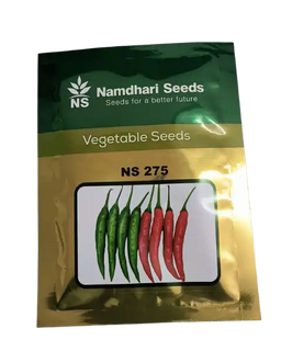 NS 275 ಮೆಣಸಿನಕಾಯಿ ಬೀಜಗಳು Image