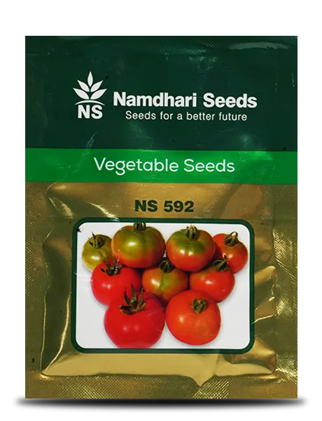 NS 592 F1 Hybrid Tomato Seeds - Early maturity, Deep Red, Disease Resistant product  Image 1