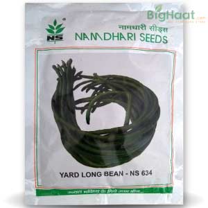 एनएस 634 यार्ड लंबी बीन के बीज product  Image 1