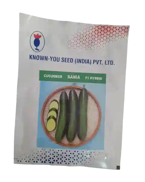 SANIA CUCUMBER product  Image 1