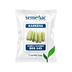 SEMENAC CUCUMBER HYBRID KAREENA SEEDS (CYLINDRICAL FRUIT) product  Image 1