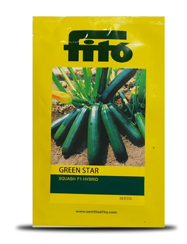 గ్రీన్ స్టార్ స్క్వాష్ Image