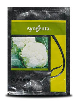 Suhasini Cauliflower Seeds - Early maturity, Sturdy Plant, Compact White Curd Image