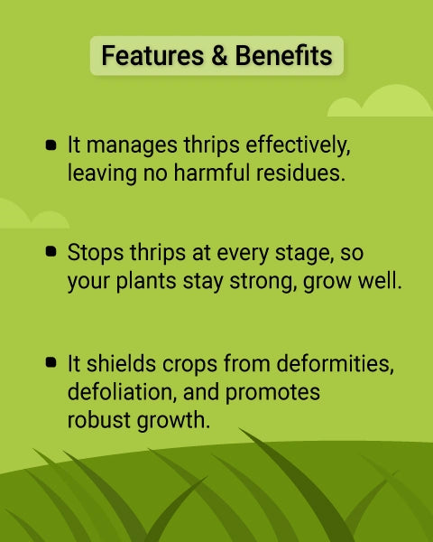 tapas contsap bio insecticide benefits Tapas Contsap Bio Insecticide - Eco Friendly Remedy for Thrips and Sucking Pest Control product Image 2