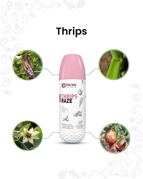 थ्रिप्स रेज़ जैव कीटनाशक product  Image 4