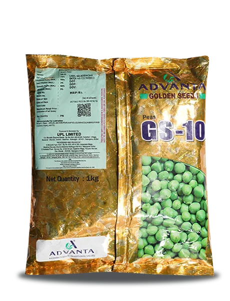 GS- 10 Pea Seeds - Sweet, High Yield, Powdery Mildew Tolerant product  Image 5