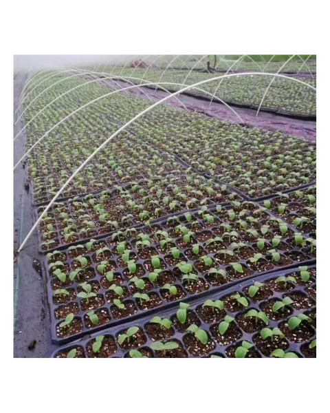 వేదాంత్ లో టన్నెల్ వైర్ - 200 ప్యాక్ product  Image 1