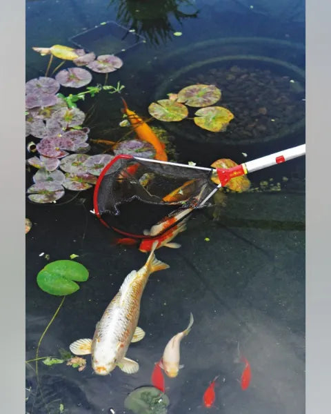 वुल्फ गार्टन कैचिंग नेट (डब्ल्यूएफ-एम) image 4 वुल्फ गार्टन कैचिंग नेट (डब्ल्यूएफ-एम) product Image 4