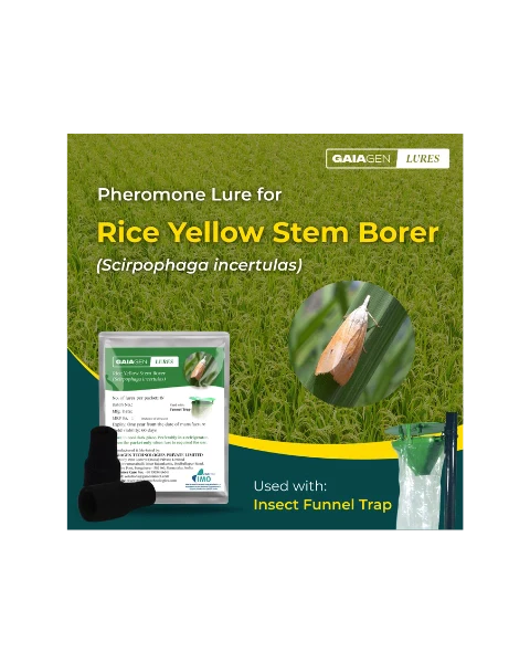 GAIAGEN PHEROMONE LURE FOR RICE YELLOW STEM BORER (Scirpophaga incertulas) product  Image 2