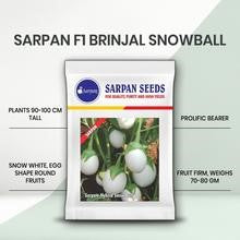 SARPAN HYBRID- SNOW BALL BRINJAL (SEEDS) product  Image 2