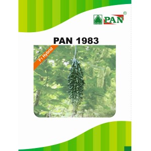 PAN 1983 HYBRID BITTER GOURD SEEDS (DARK GREEN) product  Image