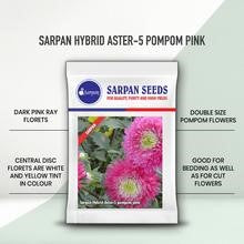 SARPAN HYBRID ASTER-AST-5 POM POM (SEEDS) product  Image 2