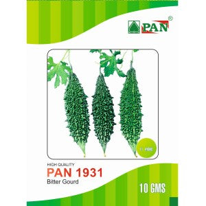 PAN 1931 HYBRID BITTER GOURD SEEDS (DARK GREEN) product  Image 1