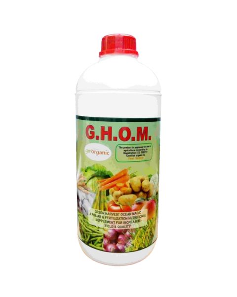 GASSIN PIERRE GHOM product  Image 1